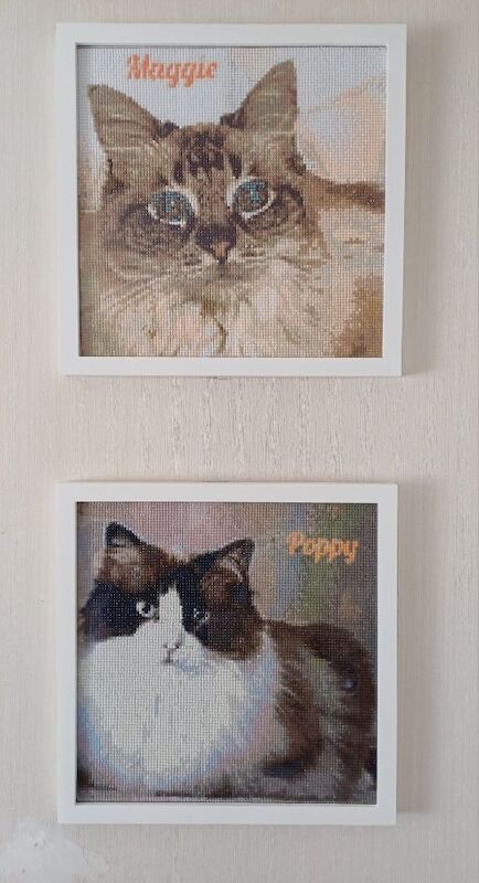 2 beautiful ragdoll cats for£300 for sale in Cardiff / Caerdydd, South Glamorgan | Image 4