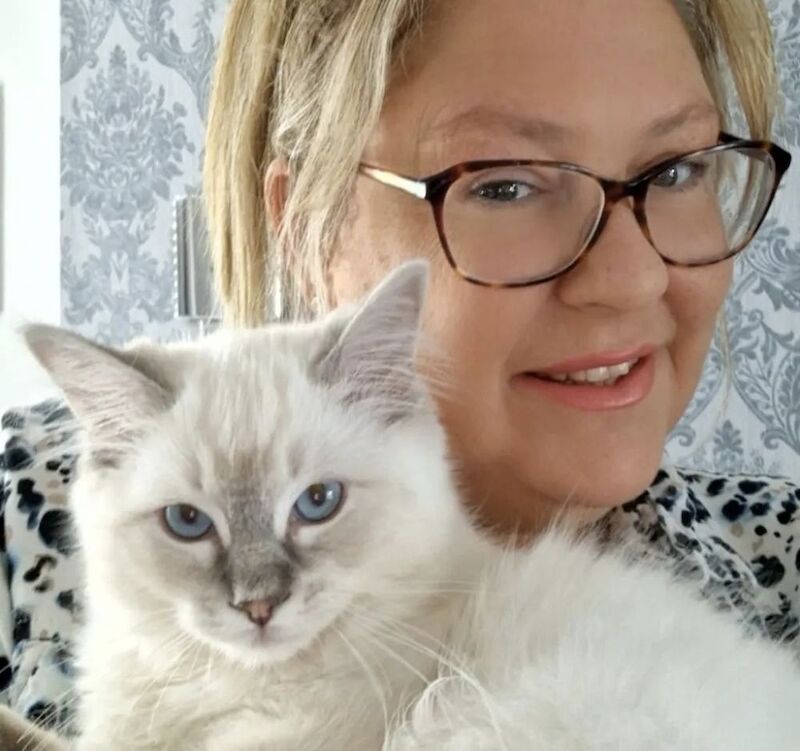 Clare pemberton - Ragdoll Breeder on Ragdoll Owners - Image 1